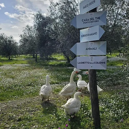 Fattoria Di Maiano *