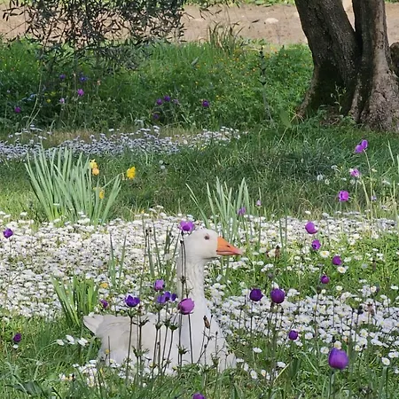 Fattoria Di Maiano Κατάλυμα σε φάρμα