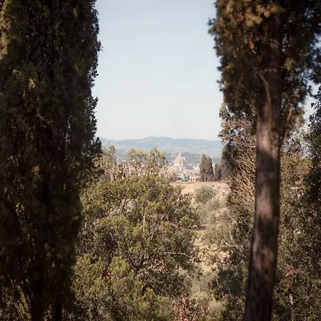 Fattoria Di Maiano *