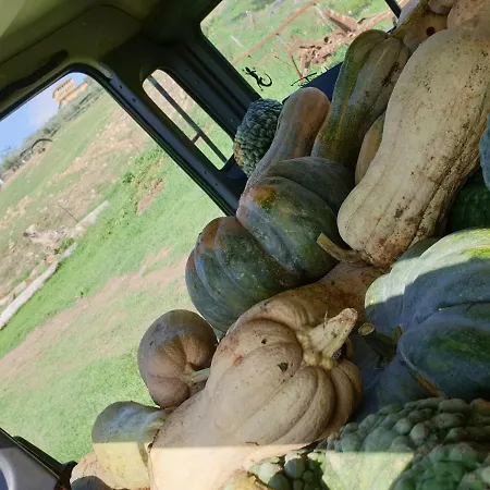 Κατάλυμα σε φάρμα Fattoria Di Maiano *